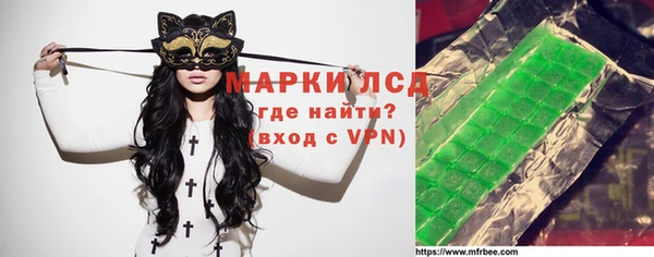 индика Володарск