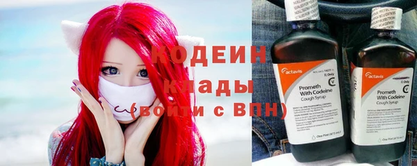 индика Володарск