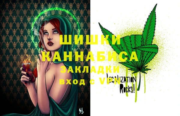 индика Володарск