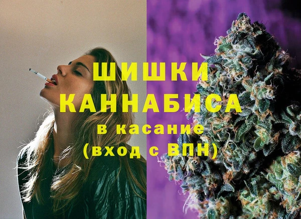 индика Володарск