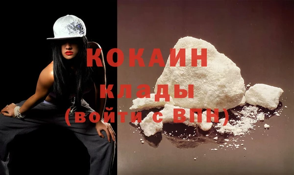 индика Володарск