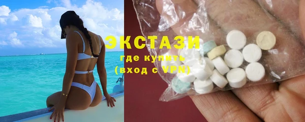 индика Володарск