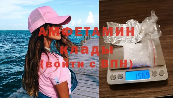 индика Володарск
