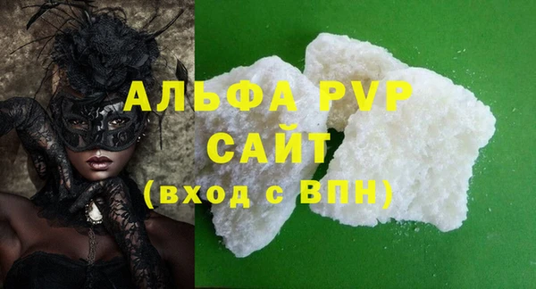 индика Володарск