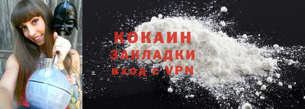 индика Володарск