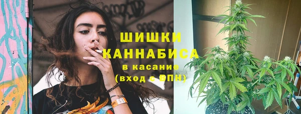 индика Володарск