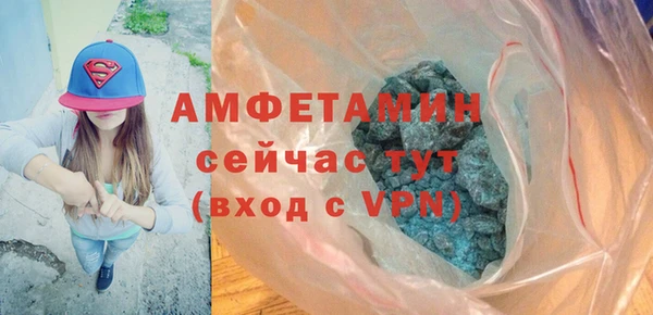 индика Володарск