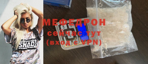 индика Володарск