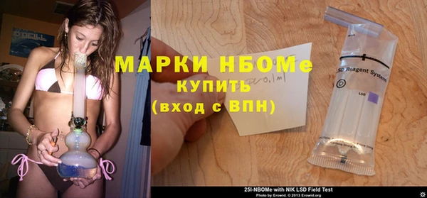 индика Володарск